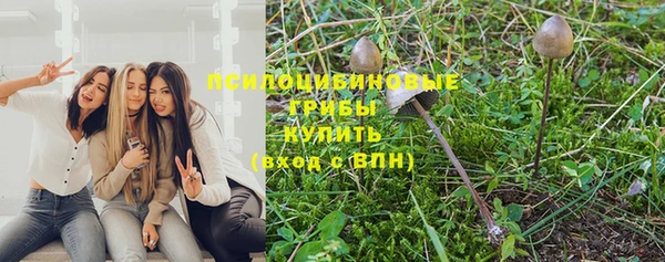 таблы Алексеевка