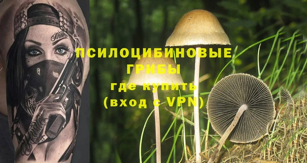 мдпв Армянск