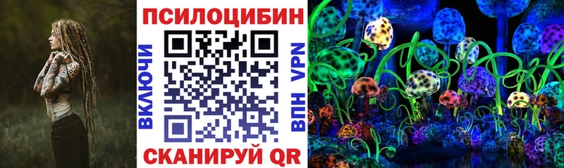 Купить  Хвалынск  Псилоцибиновые грибы Psilocybine cubensis 