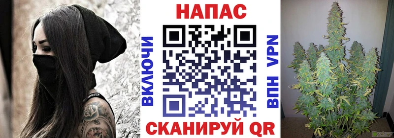 Конопля план  Купить закладки  Хвалынск 